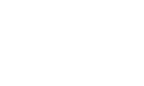 スピードと柔軟さを兼ね備えている方